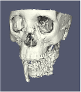 ../../_images/GeometricLOD50.png