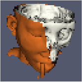 ../../_images/ImageLOD8.png